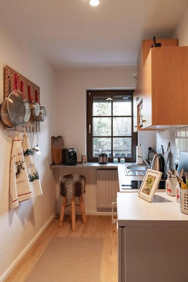 Das Waldseechalet Maerchenhafter Waldseeblick - Moderne Wohnung Mit Infrarotsauna Hasselfelde Εξωτερικό φωτογραφία