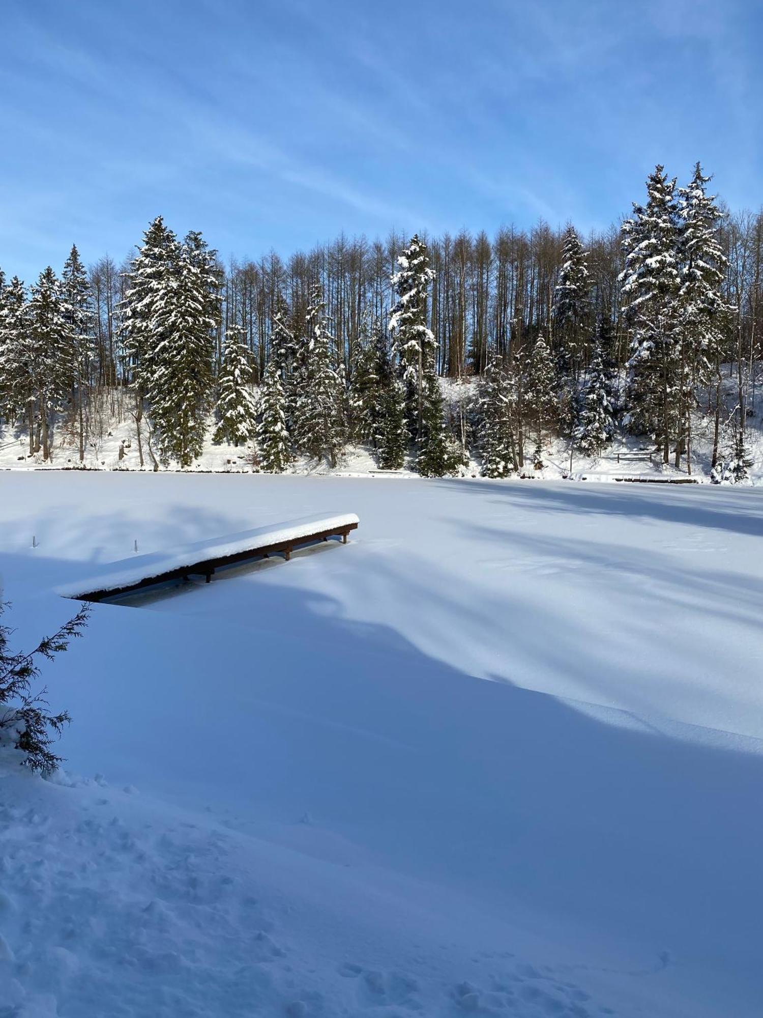Das Waldseechalet Maerchenhafter Waldseeblick - Moderne Wohnung Mit Infrarotsauna Hasselfelde Εξωτερικό φωτογραφία