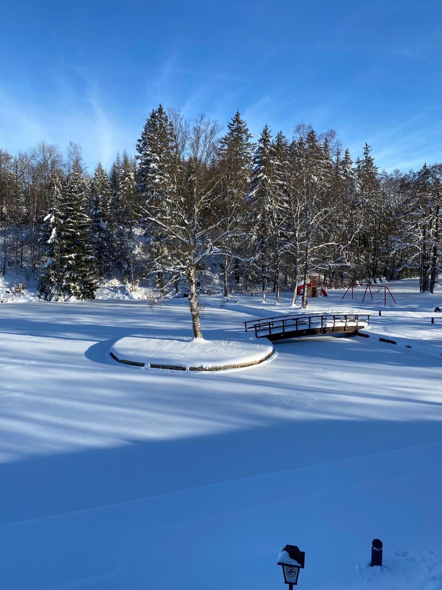Das Waldseechalet Maerchenhafter Waldseeblick - Moderne Wohnung Mit Infrarotsauna Hasselfelde Εξωτερικό φωτογραφία
